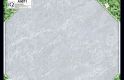 TTP-5071