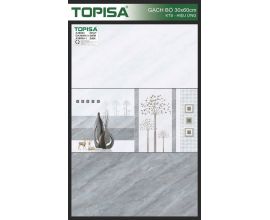 TTP-36004