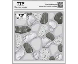 TTP-383