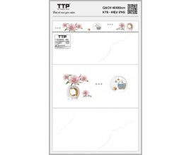 TTP-48603