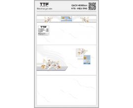  TTP-48602