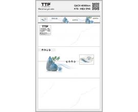 TTP-48603D