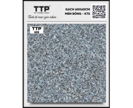 TTP-609