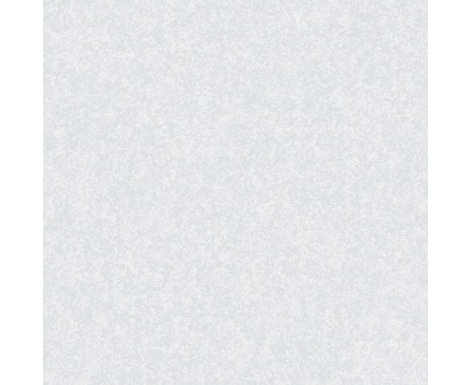 ĐỒNG TÂM- WS013