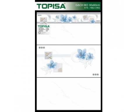 TTP-36003