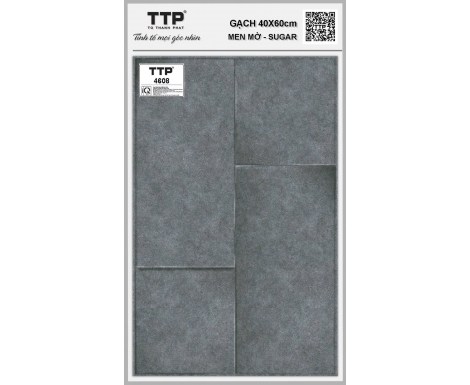 TTP-4608