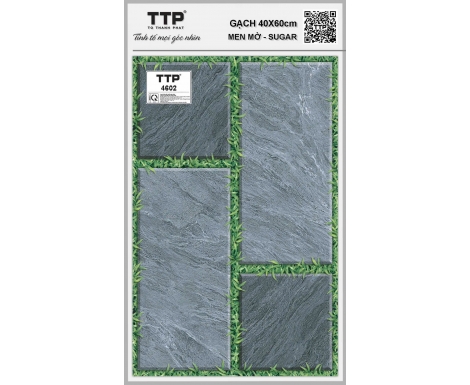 TTP-4602